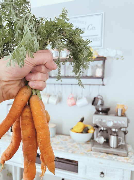essential groceries- carrots